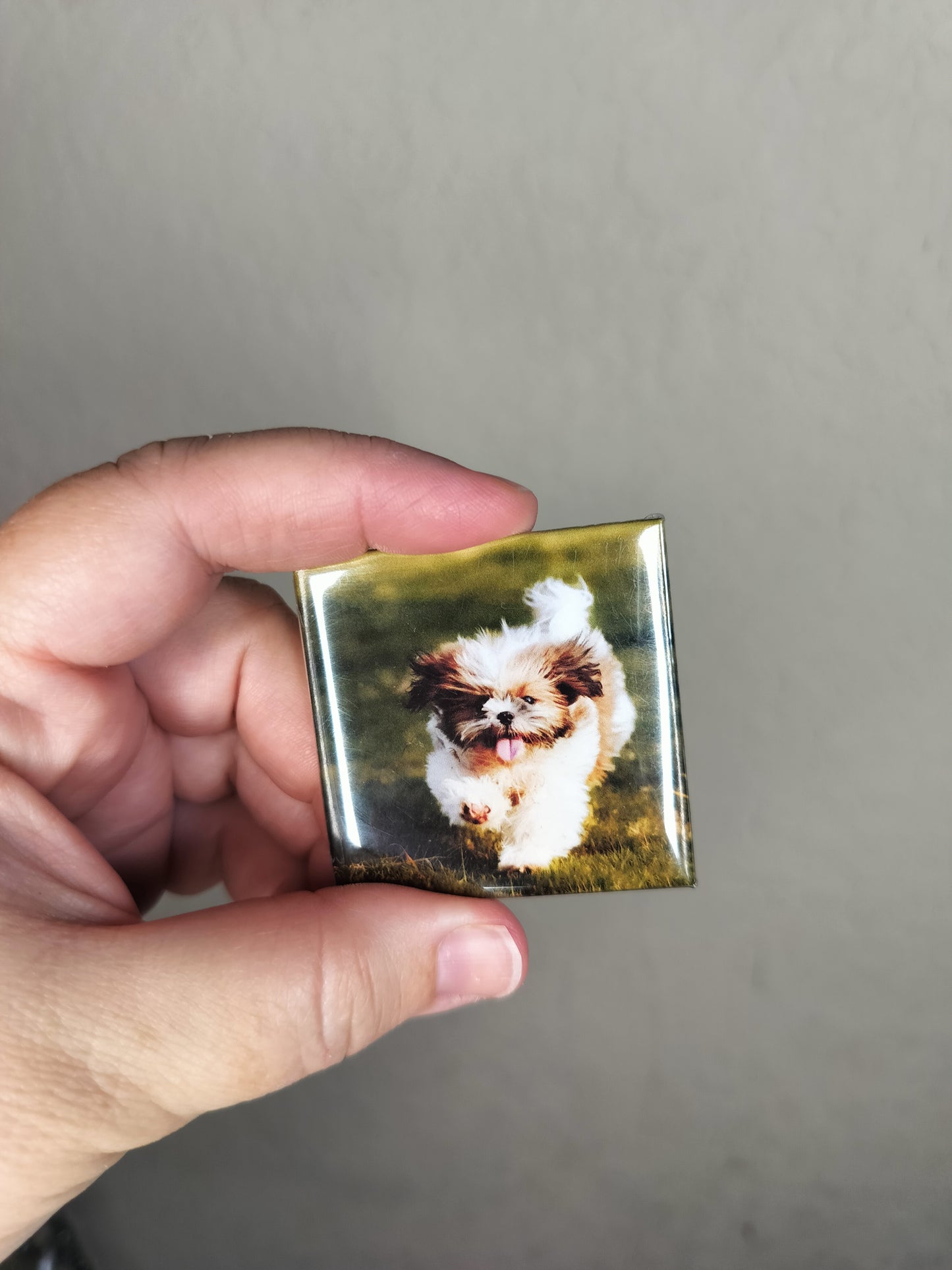 2inx2in Button Magnet Set of 9