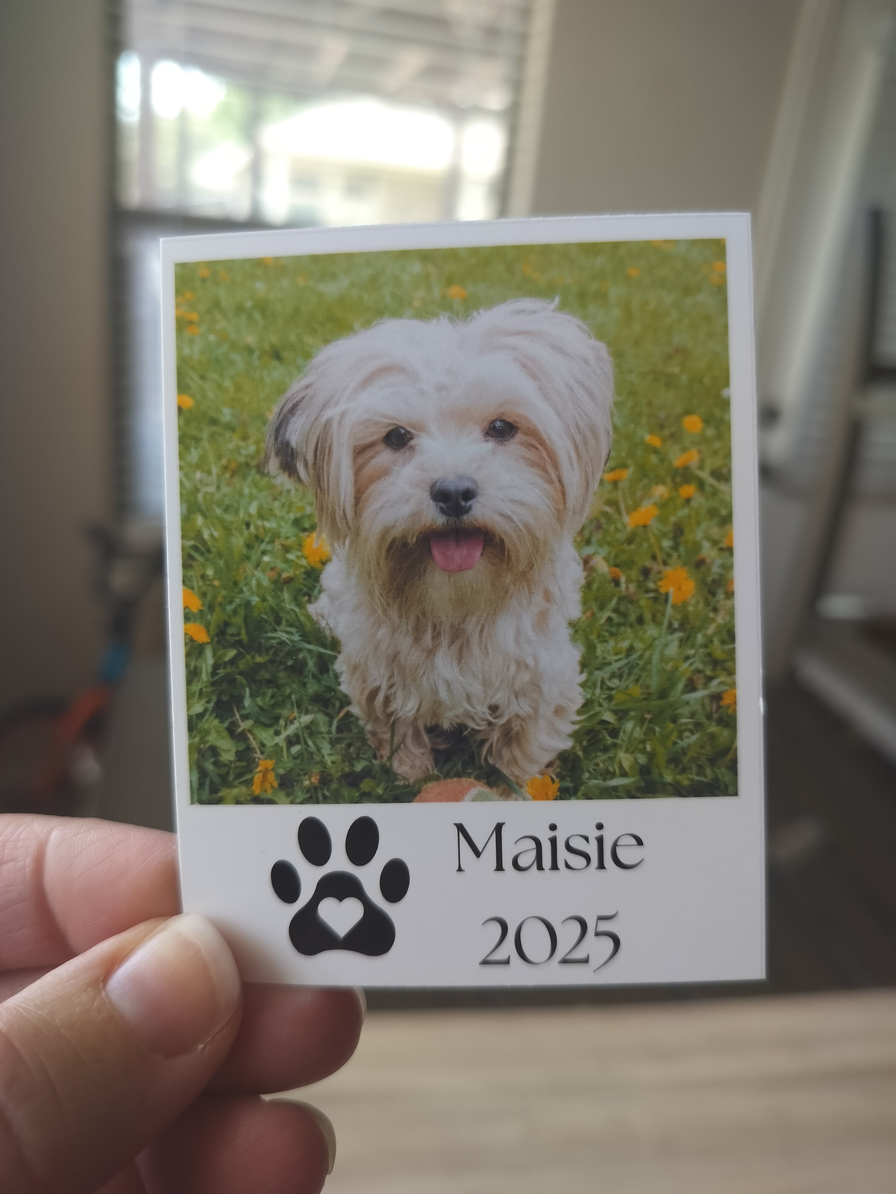 3.125 x 4 inch Retro Style Flexible Photo Magnet 6- Pack